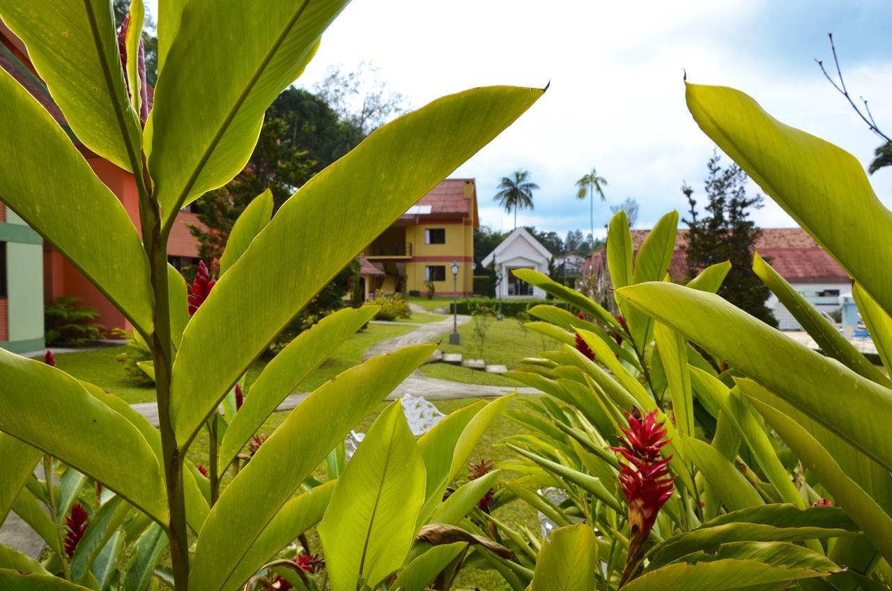 Hotel Girassol Penedo  Dış mekan fotoğraf